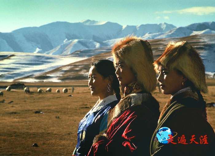 1 在雪山丛中牧羊的拉卜楞藏族姑娘.jpg