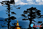 158 雲中不丹：進王宮講述中華關公故事