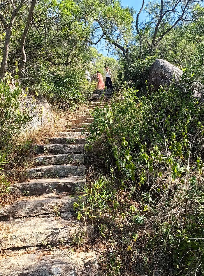 7 循石條登山步道攀登金榜山，野趣盎然.jpg