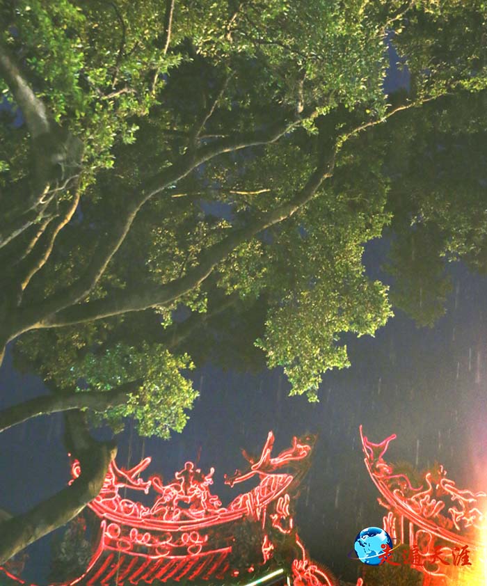 1 入夜，台南关帝殿前的大榕树.JPG